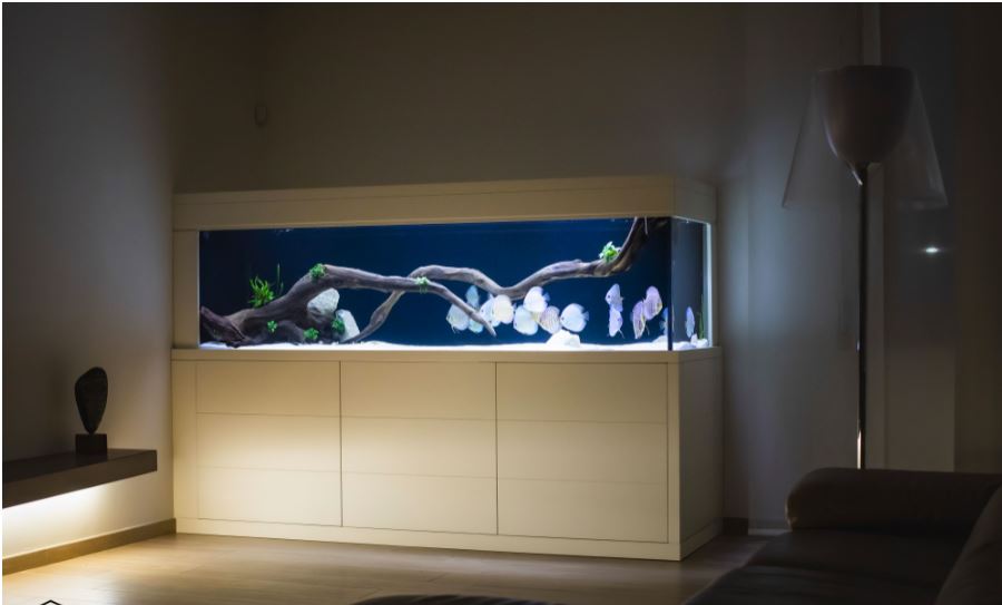 Sassi per acquario: KH 0  Acquario in casa - Natura e Design