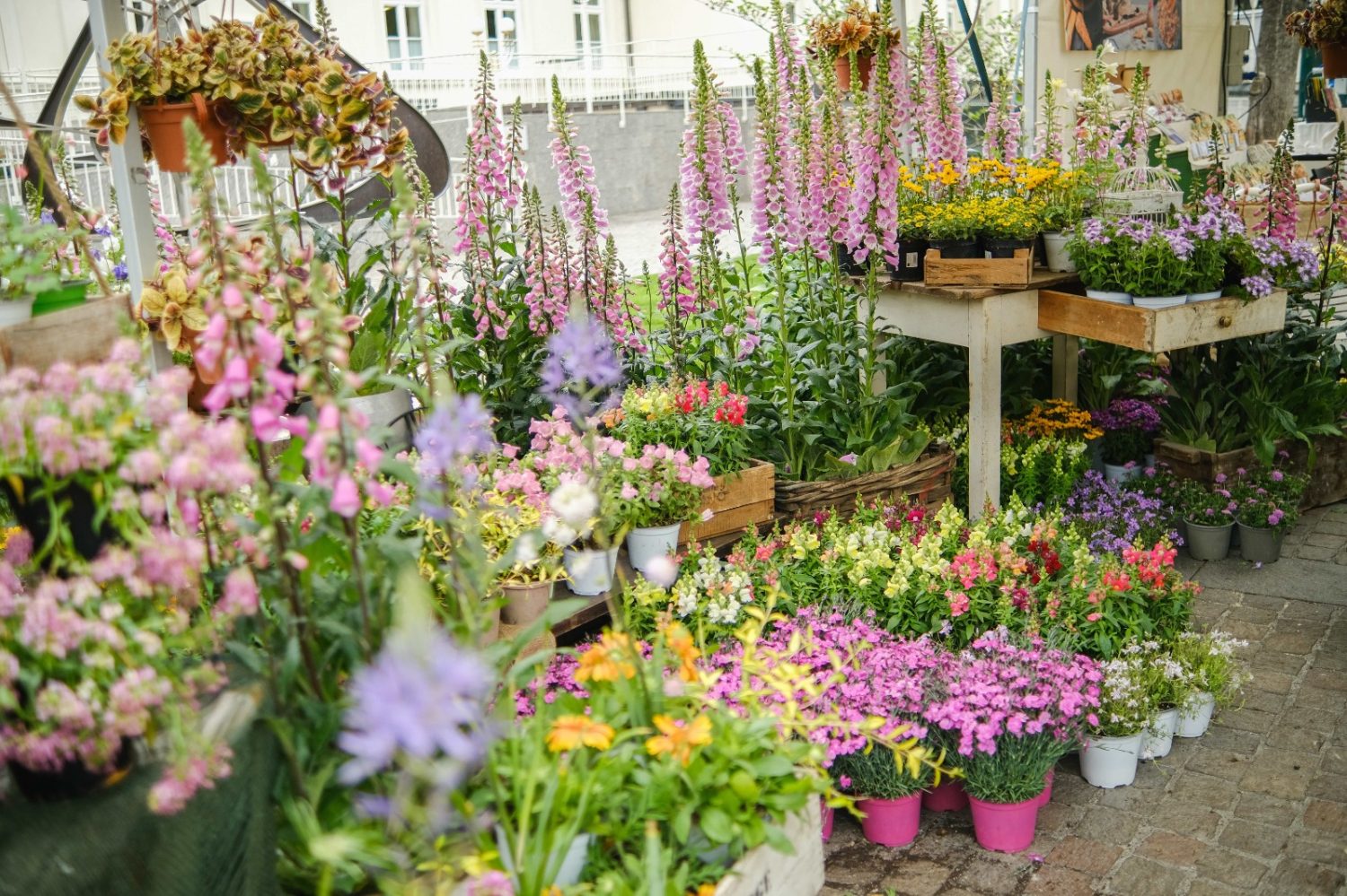 Merano Flower Festival 